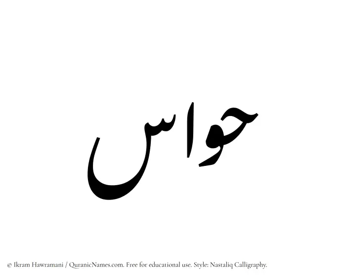The Muslim name word Hawas written in Nastaliq calligraphic script
