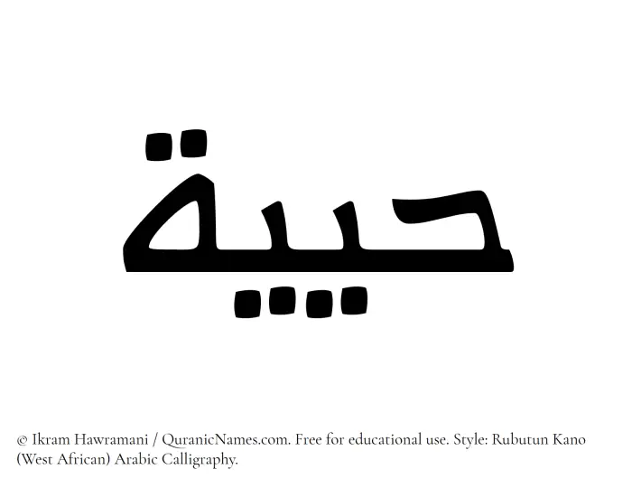 The Muslim name Hayiyyah written in Rubutun Kano calligraphic script