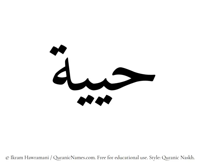 The Muslim name Hayiyyah written in Quranic naskh script