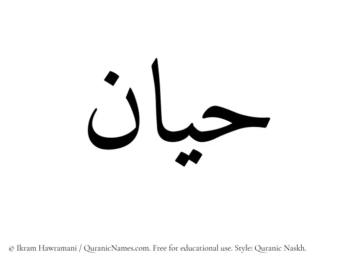 The Muslim name Hayyan written in Quranic naskh script