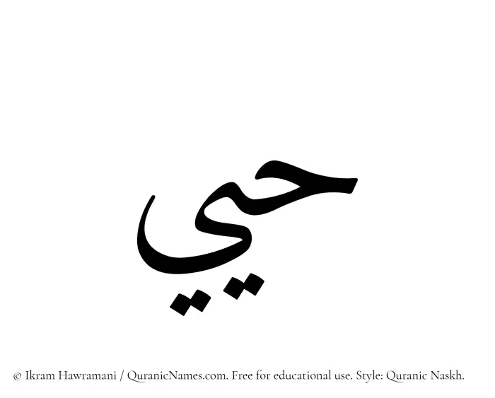 The Muslim name Hayyee written in Quranic naskh script