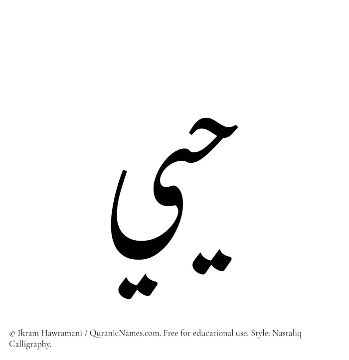 The Muslim name word Hayyee written in Nastaliq calligraphic script