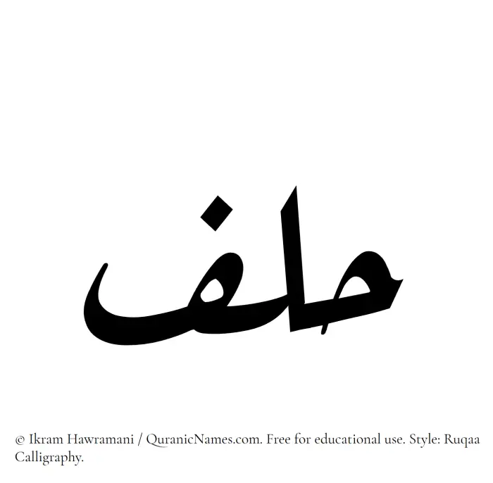 The Muslim name Hilf written in Ruqaa calligraphic script