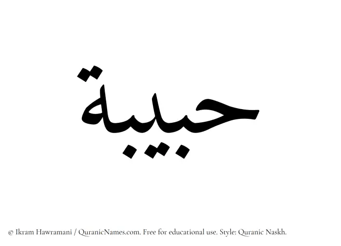 The Muslim name Hubaibah written in Quranic naskh script