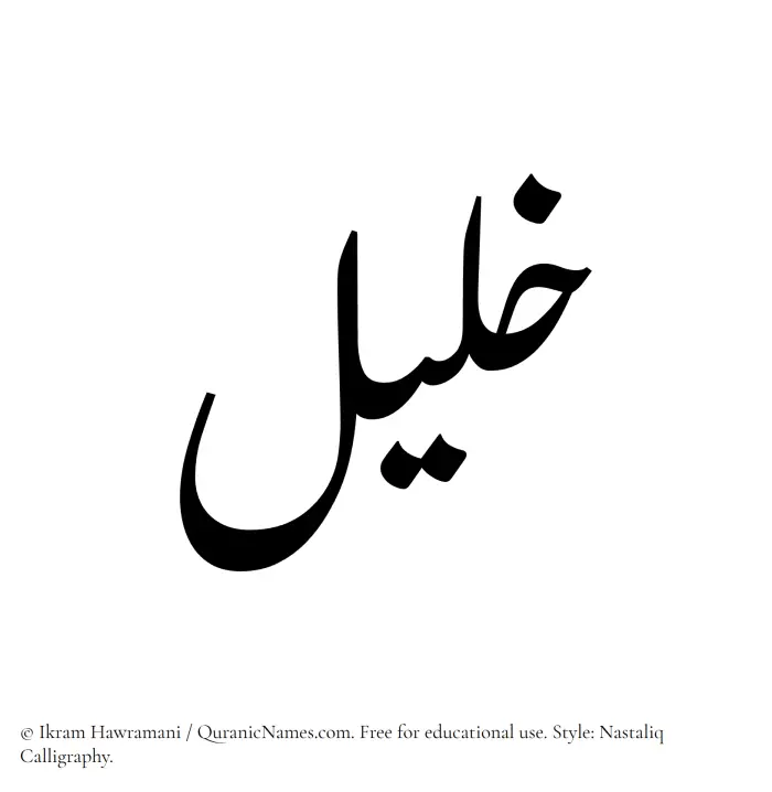 The Muslim name word Khaleel written in Nastaliq calligraphic script