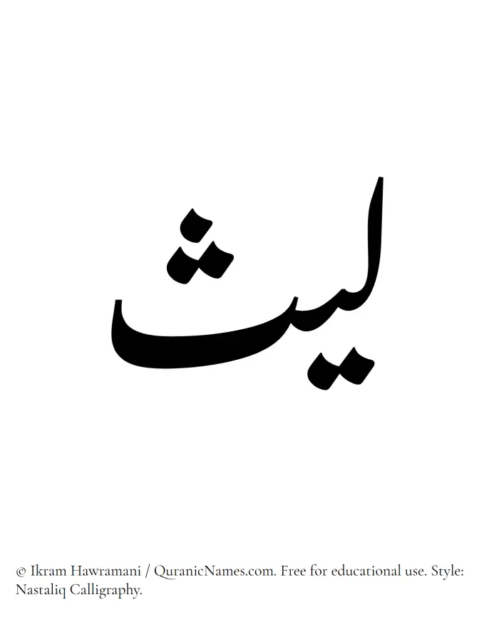 The Muslim name word Laith written in Nastaliq calligraphic script