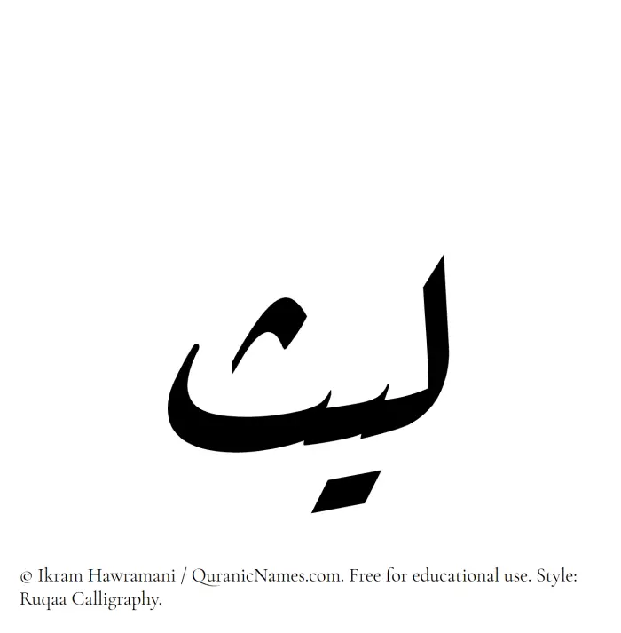 The Muslim name Laith written in Ruqaa calligraphic script