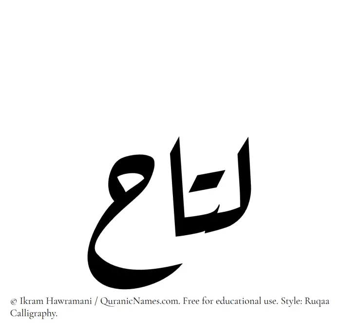 The Muslim name Lutah written in Ruqaa calligraphic script