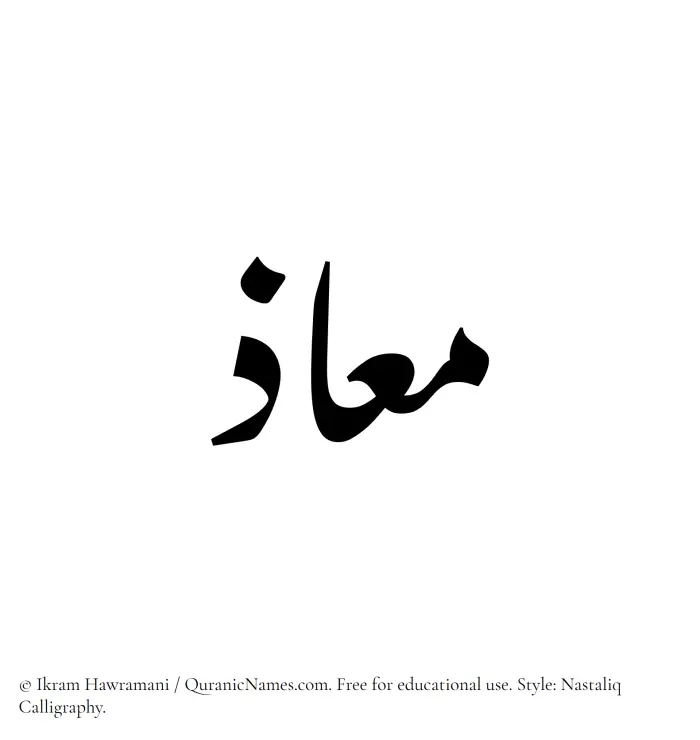 The Muslim name word Maaz written in Nastaliq calligraphic script