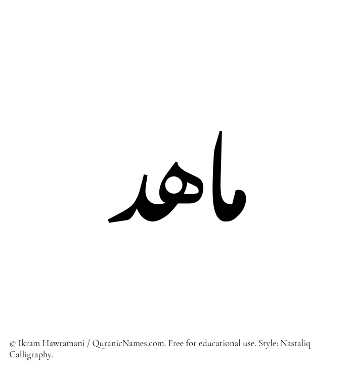 The Muslim name word Mahid written in Nastaliq calligraphic script