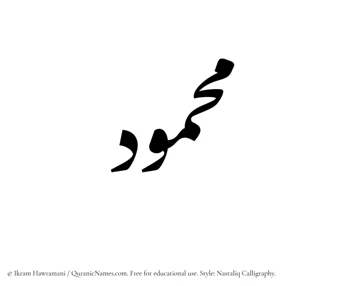 The Muslim name word Mahmud written in Nastaliq calligraphic script