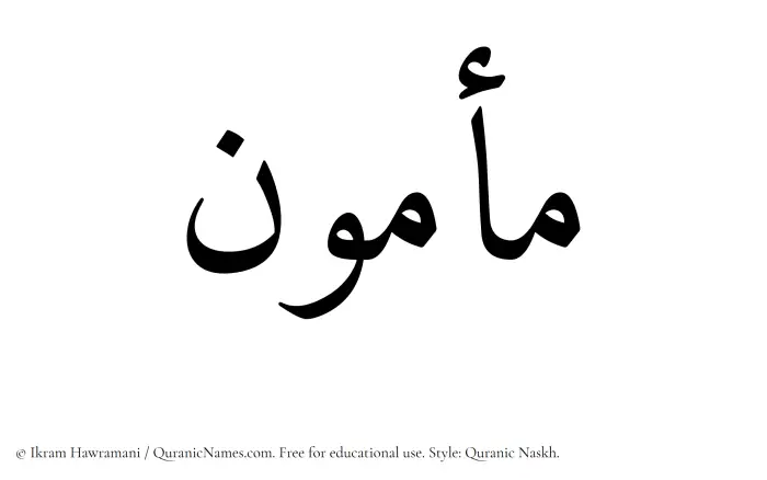 The Muslim name Mamun written in Quranic naskh script