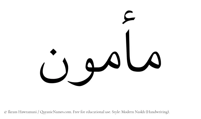 The Muslim name Mamun written in naskh script
