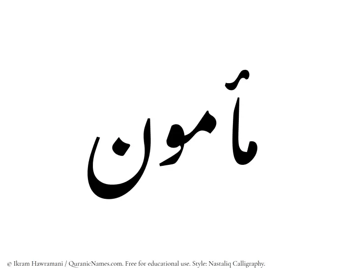 The Muslim name word Mamun written in Nastaliq calligraphic script