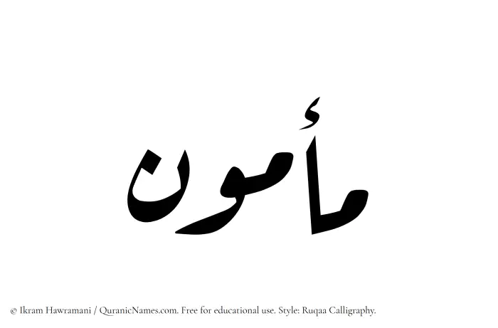 The Muslim name Mamun written in Ruqaa calligraphic script