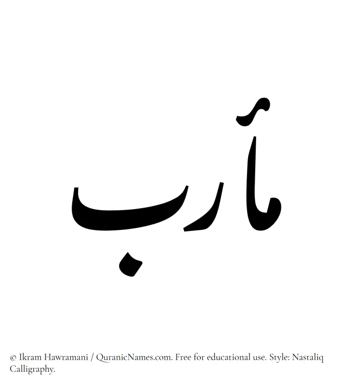 The Muslim name word Marab written in Nastaliq calligraphic script