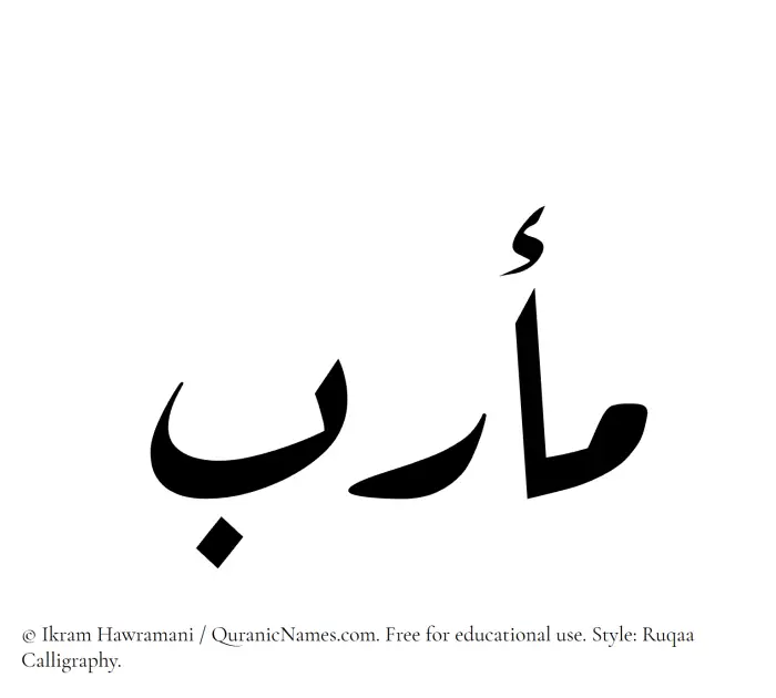 The Muslim name Marab written in Ruqaa calligraphic script