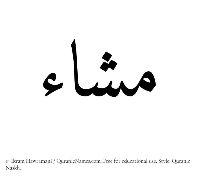 The Muslim name Mashaa written in Quranic naskh script