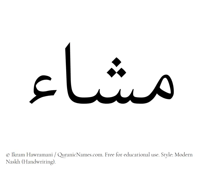 The Muslim name Mashaa written in naskh script