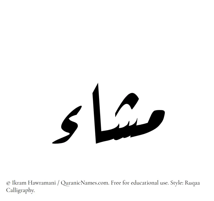 The Muslim name Mashaa written in Ruqaa calligraphic script