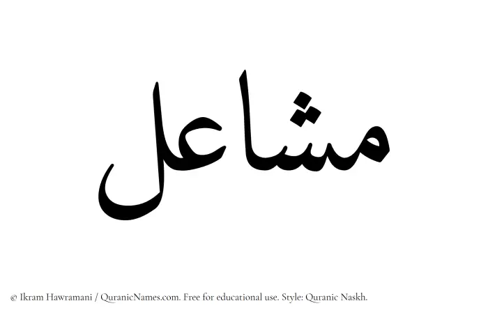 The Muslim name Mashael written in Quranic naskh script