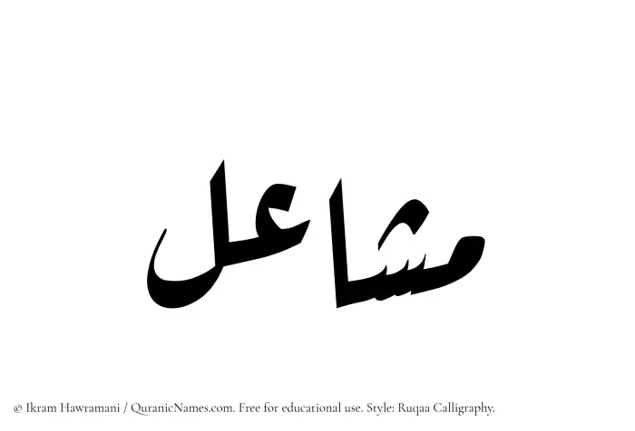 The Muslim name Mashael written in Ruqaa calligraphic script