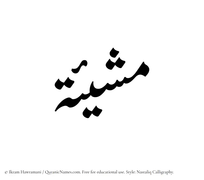 The Muslim name word Mashiyat written in Nastaliq calligraphic script