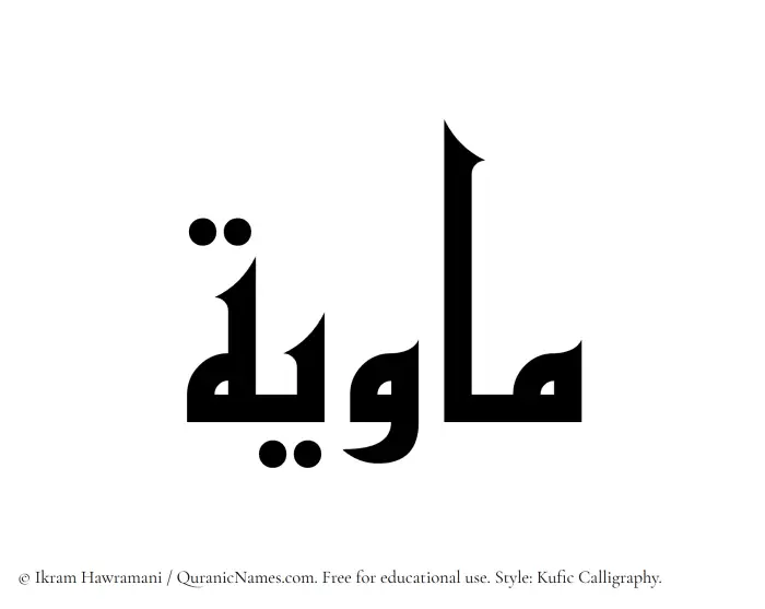 The Muslim name Mawiyyah written in Kufi/Kufic calligraphic script