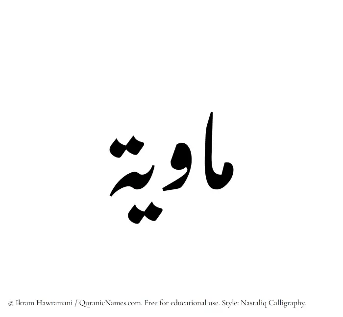 The Muslim name word Mawiyyah written in Nastaliq calligraphic script