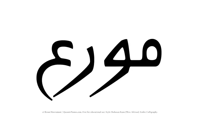 The Muslim name Mouri written in Rubutun Kano calligraphic script