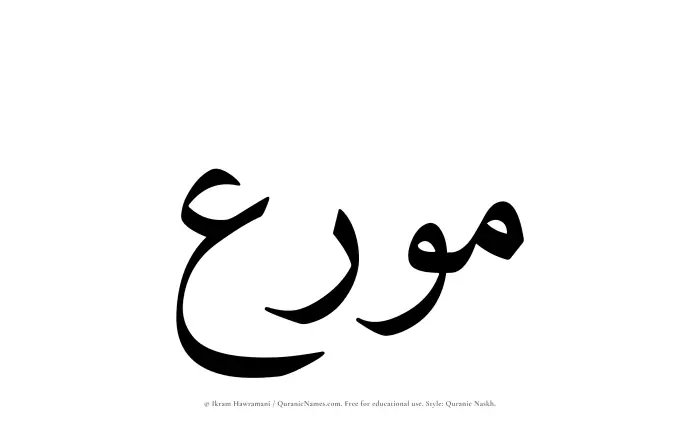 The Muslim name Mouri written in Quranic naskh script