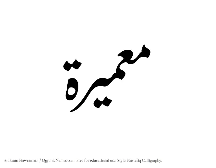 The Muslim name word Muammeerah written in Nastaliq calligraphic script