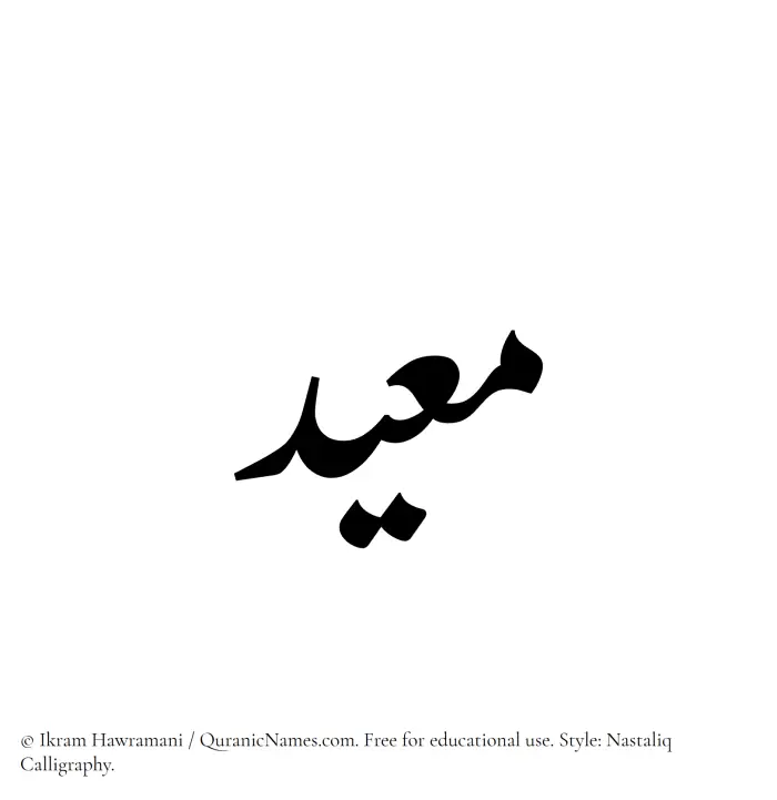 The Muslim name word Muayyid written in Nastaliq calligraphic script