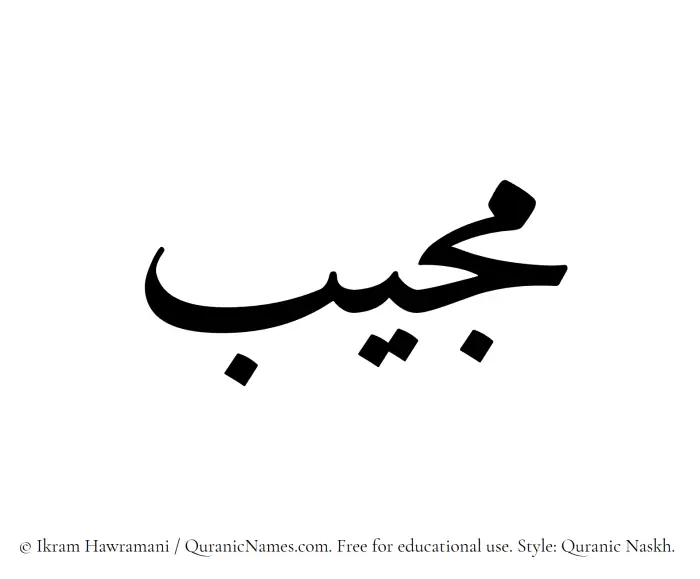 The Muslim name Mujib written in Quranic naskh script