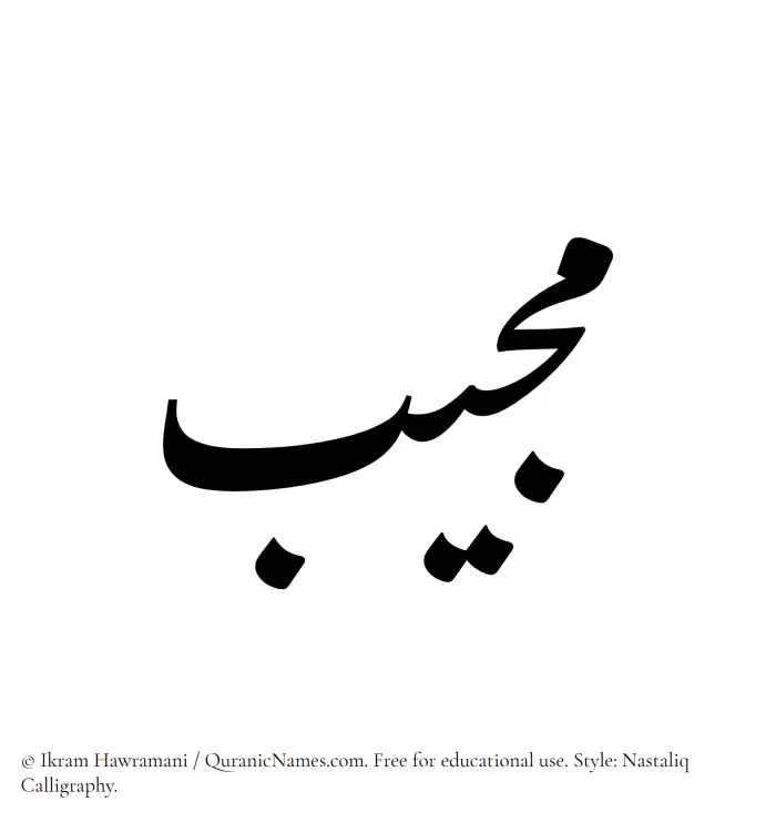 The Muslim name word Mujib written in Nastaliq calligraphic script