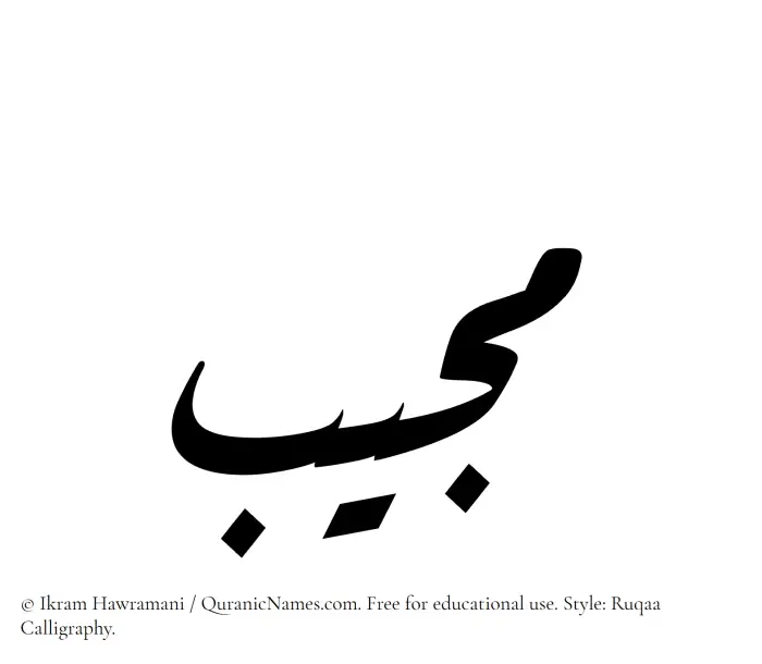 The Muslim name Mujib written in Ruqaa calligraphic script