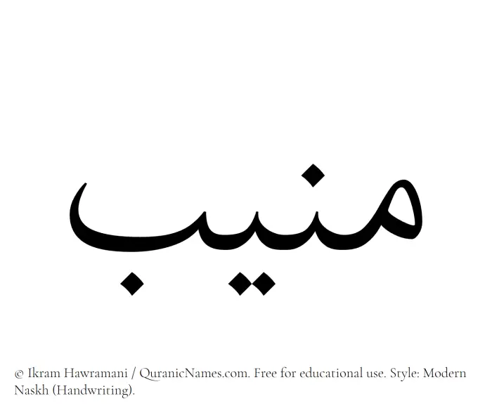 The Muslim name Muneeb written in naskh script