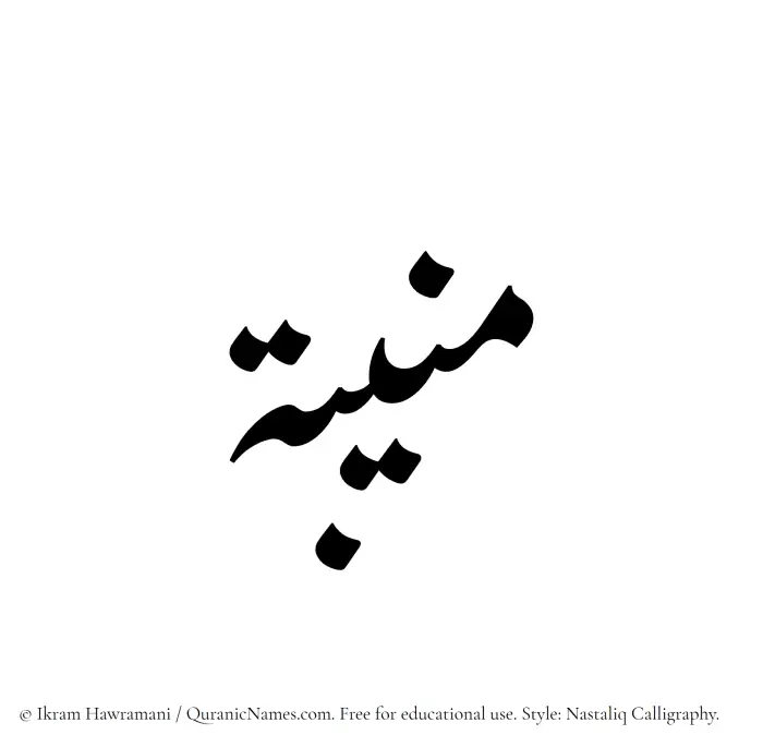 The Muslim name word Muneeba (Munibah) written in Nastaliq calligraphic script