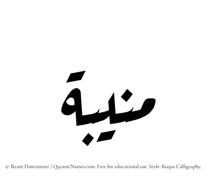 The Muslim name Muneeba (Munibah) written in Ruqaa calligraphic script