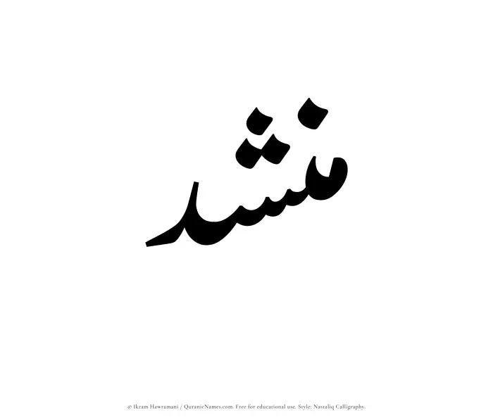 The Muslim name word Munshid written in Nastaliq calligraphic script