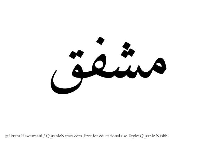 The Muslim name Mushfiq written in Quranic naskh script