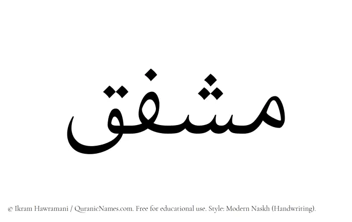 The Muslim name Mushfiq written in naskh script
