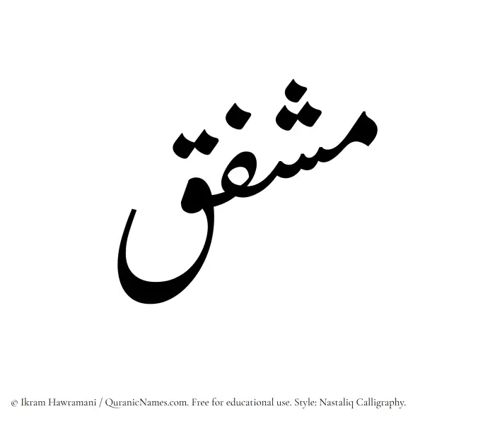 The Muslim name word Mushfiq written in Nastaliq calligraphic script