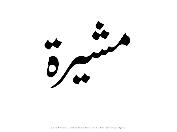 The Muslim name word Mushirah written in Nastaliq calligraphic script