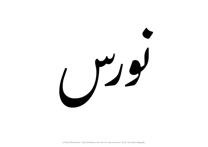 The Muslim name word Nawras written in Nastaliq calligraphic script