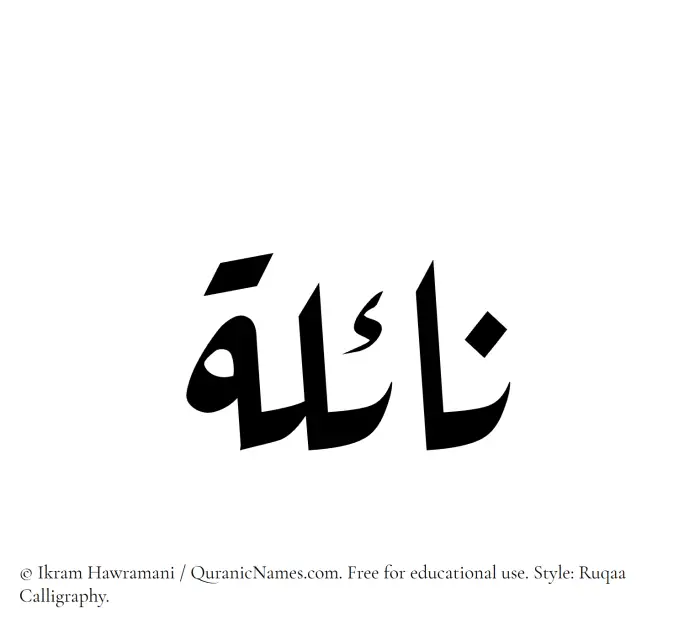 The Muslim name Nayla written in Ruqaa calligraphic script