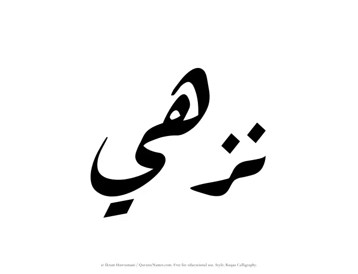 The Muslim name Nuzhi written in Ruqaa calligraphic script