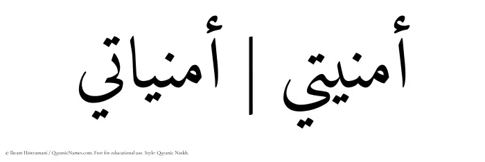 The Muslim name Omniati written in Quranic naskh script