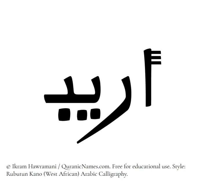 The Muslim name Oraib written in Rubutun Kano calligraphic script