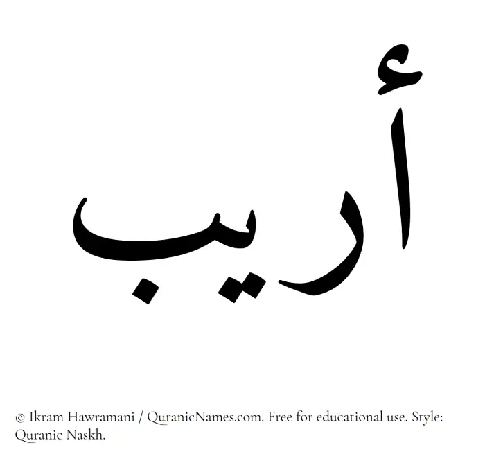 The Muslim name Oraib written in Quranic naskh script